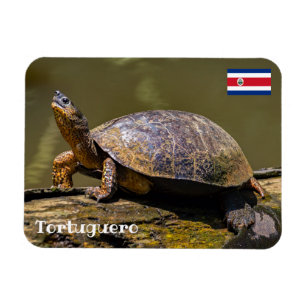 Magnet Flexible Costa Rica, Tortuguero - Tortue
