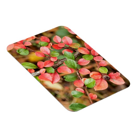 Magnet Flexible Cotonou horizontalis (Côté Droit)