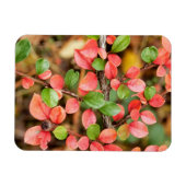 Magnet Flexible Cotonou horizontalis (Horizontal)