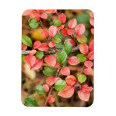 Magnet Flexible Cotonou horizontalis (Vertical)