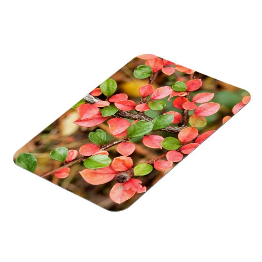 Magnet Flexible Cotonou horizontalis (Côté Gauche)