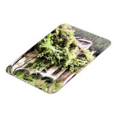 MAGNET FLEXIBLE COTTAGE WISTERIA (Côté Gauche)