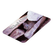 Magnet Flexible Cottontail Rabbit in Rocks Wind Cave NP (Côté Gauche)