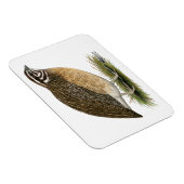 Magnet Flexible Coturnix Pharaoh Quail (Côté Droit)