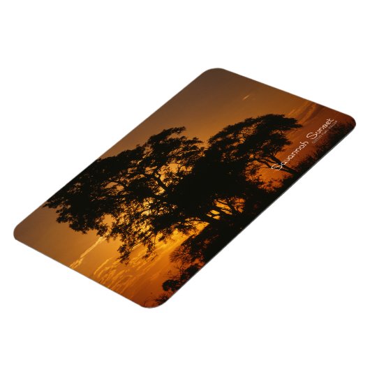 Magnet Flexible Coucher de soleil à Savannah (Côté Gauche)
