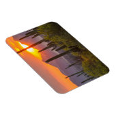 Magnet Flexible Coucher de soleil de cactus du désert, Arizona (Côté Droit)