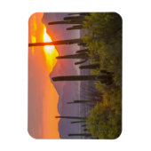 Magnet Flexible Coucher de soleil de cactus du désert, Arizona (Vertical)