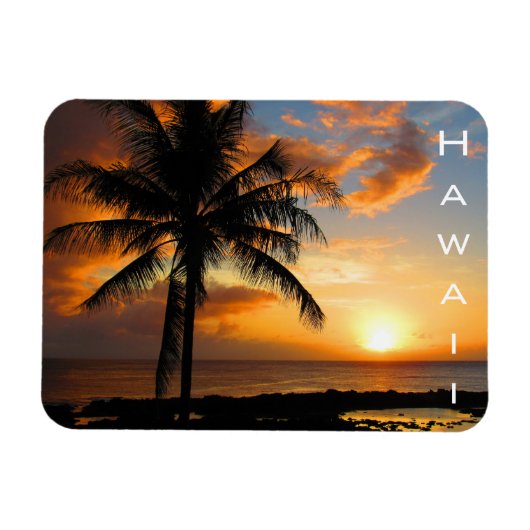 Magnet Flexible coucher de soleil de la palme hawaii (Horizontal)