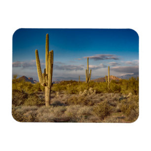 Magnet Flexible Coucher du soleil de cactus en Arizona