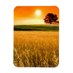 Magnet Flexible Coucher du soleil rouge sang
