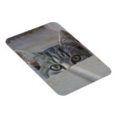 Magnet Flexible Coucou petit chaton (Côté Droit)