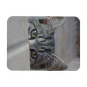 Magnet Flexible Coucou petit chaton (Horizontal)