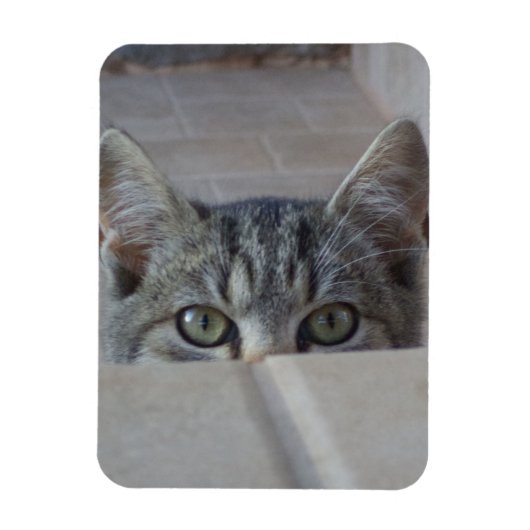 Magnet Flexible Coucou petit chaton (Vertical)