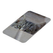 Magnet Flexible Coucou petit chaton (Côté Gauche)