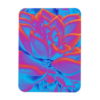 Magnet Flexible Couleur arc-en-ciel plante Succulent