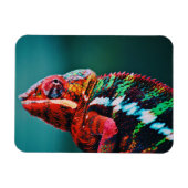 Magnet Flexible Couleur Changement arc-en-ciel Chameleon Reptile (Horizontal)