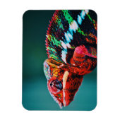 Magnet Flexible Couleur Changement arc-en-ciel Chameleon Reptile (Vertical)