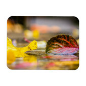 Magnet Flexible Couleurs d'automne (Horizontal)