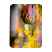 Magnet Flexible Couleurs d'automne (Vertical)