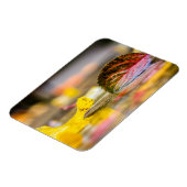 Magnet Flexible Couleurs d'automne (Côté Gauche)