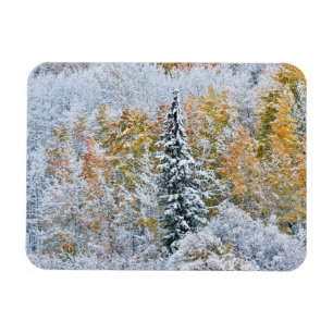 Magnet Flexible Couleurs d'automne des trembles et neige Keebler P