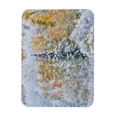 Magnet Flexible Couleurs d'automne des trembles et neige Keebler P (Vertical)