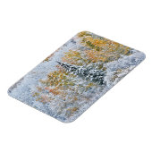 Magnet Flexible Couleurs d'automne des trembles et neige Keebler P (Côté Gauche)