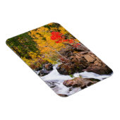Magnet Flexible Couleurs d'automne le long de Bishop Creek, CA (Côté Droit)