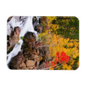 Magnet Flexible Couleurs d'automne le long de Bishop Creek, CA (Horizontal)