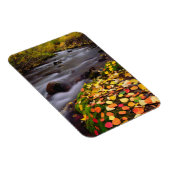 Magnet Flexible Couleurs d'automne le long du ruisseau McGee (Côté Droit)