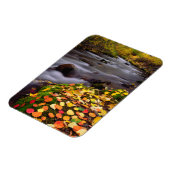Magnet Flexible Couleurs d'automne le long du ruisseau McGee (Côté Gauche)
