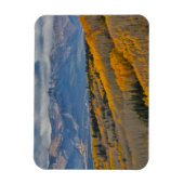 Magnet Flexible Couleurs d'automne sur Aspen Groves (Vertical)