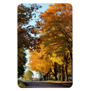 Magnet Flexible Couleurs d'automne sur Country Road