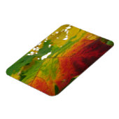 Magnet Flexible Couleurs de la feuille d'érable Automne Photograph (Côté Gauche)