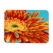 Magnet Flexible Couleurs éclatées I (Horizontal)