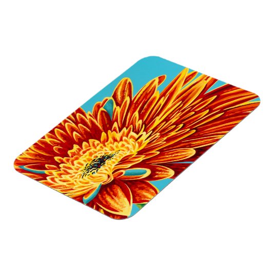 Magnet Flexible Couleurs éclatées I (Côté Gauche)