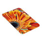 Magnet Flexible Couleurs éclatées II (Côté Droit)