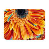 Magnet Flexible Couleurs éclatées II (Horizontal)