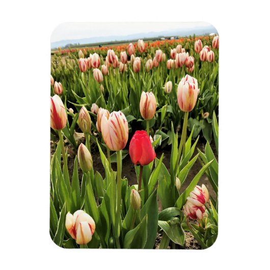 Magnet Flexible Coup de poing (Vertical)