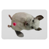 Magnet Flexible Coupe blanche chinchilla (Horizontal)