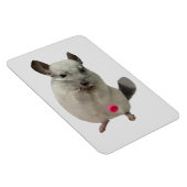 Magnet Flexible Coupe blanche chinchilla (Côté Droit)