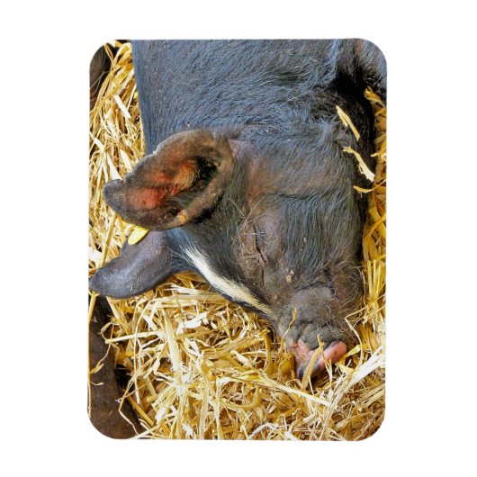 MAGNET FLEXIBLE COUPER (Vertical)