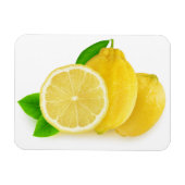 Magnet Flexible Couper les citrons (Horizontal)