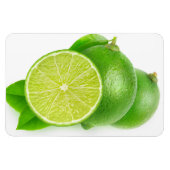 Magnet Flexible Couper les limes (Horizontal)