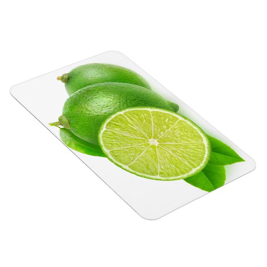 Magnet Flexible Couper les limes (Côté Droit)