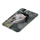 MAGNET FLEXIBLE COUPER OTTER (Côté Gauche)