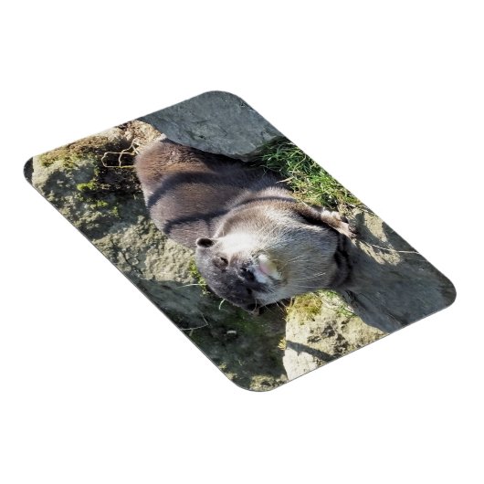 MAGNET FLEXIBLE COUPER OTTER (Côté Droit)