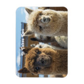 Magnet Flexible Couple blanc et reddish Brown (Vertical)