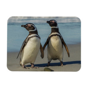 Magnet Flexible Couple de manchots sur la plage