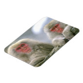 Magnet Flexible Couple de singe des neiges, Macaque japonais (Côté Gauche)